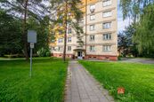 Převod dr. podílu, byty/1+1, 40.24 m2, Hrabinská, 73701 Český Těšín, Karviná [ID 86959], cena cena v RK, nabízí 
