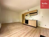 Pronájem hezkého bytu 1+KK Ostrava-Nová Bělá, cena 9990 CZK / objekt / měsíc, nabízí Byrfin real estate