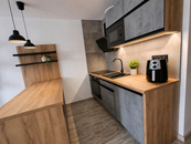 Pronájem, Byt 1+kk, Ostrava, cena 10000 CZK / objekt / měsíc, nabízí 