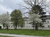 Prodej bytu 2+1, 81m2, Jubilejní kolonie, Ostrava, cena 5200000 CZK / objekt, nabízí 