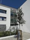 Pronájem bytu 1+kk s předzahrádkou, novostavba, Slezská Ostrava, cena 14900 CZK / objekt / měsíc, nabízí 