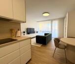 Pronájem zařízeného bytu 1kk s terasou, ulice U Hájenky, Slezská Ostrava, cena 18000 CZK / objekt / měsíc, nabízí 