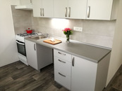 Podnájem bytu 2+1 50 m2, ul. Dr. Martínka 1147/29, Ostrava - Hrabůvka, cena 13500 CZK / objekt / měsíc, nabízí Ideální nájemce