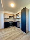 Pronájem bytu 1+1, Mánesova, Moravská Ostrava, 10400 Kč/měs, 39 m2, cena 10400 CZK / objekt / měsíc, nabízí 