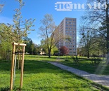 Exkluzivně nabízíme na prodej byt 2+1 v družstevním vlastnictví, Ostrava - Poruba, cena 2799000 CZK / objekt, nabízí 